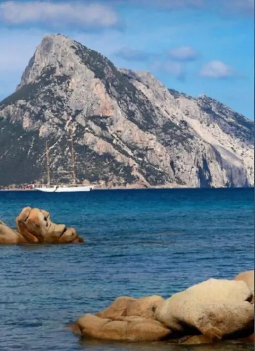 Bilocale Olbia Mare Appartement